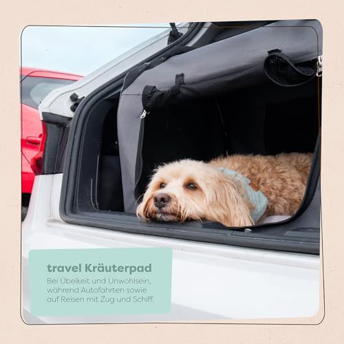 Löwenkind Dogs 100% natürliche Pads für Reiseübelkeit Hunde - wirkungsvolle Entspannung bei Autofahrten (Set mit 6 Kräuterpads und SniffTag, Travel-Pads bei Reiseübelkeit)