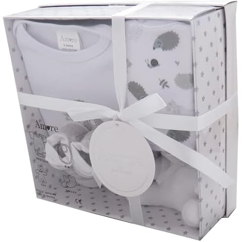 Newborn Baby Gift Set with Bodysuit, Bib, Toy, Socks in a Gift Box, 0 - 3 Months Cover