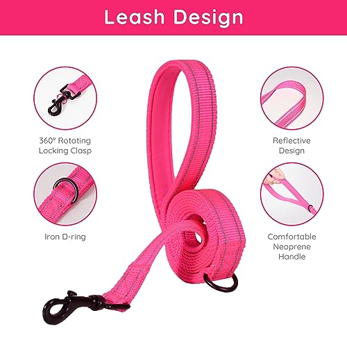 BELLA & PAL Dog Harness and Leash Set, Step-in Puppy Harness, Breathable Air Mesh with Reflective Strips - Image 4