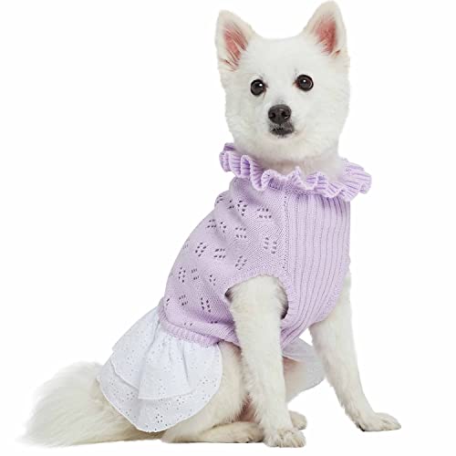 Pull pour chien lavande col à volants dos 30,5 cm tricot