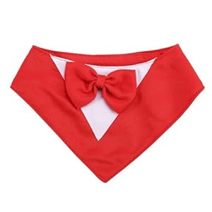 Giwnhvx Elegancka Apaszka dla Psa z Kokardą