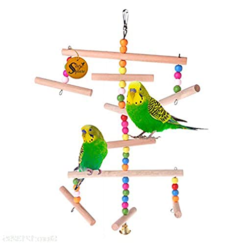 Sage Square Giant Playful Natural Wood Bead Swing Toy for Parrot, Budgies, Cockatiel, Lovebird, Budgerigar, Sun Conure, Finch, African Grey, Canary, Cockatoo, Macaw Birds (B089RC1DMJ) Amazon Price History, Amazon Price Tracker