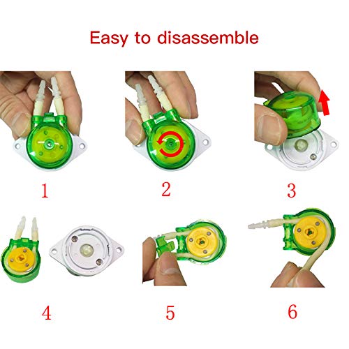 Zwbfu Bomba peristáltica pequena DC 12V / 24V Bomba doseadora Bomba de microcirculação de água líqui