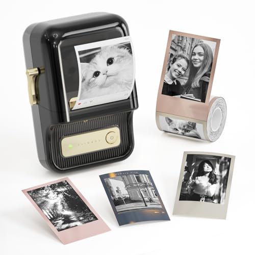 NIIMBOT Etiquetadora B21 Pro,Impresora de etiquetas HD 300DPI,con Grandes Etiquetas Autoadhesivas Impermeables para Fotos,El Hogar, La Oficina y Los Negocios-Negro
