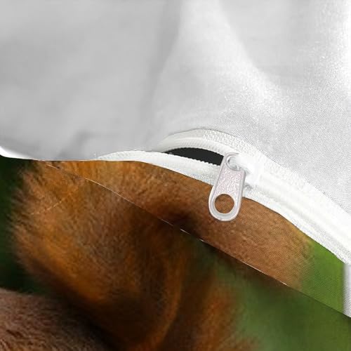 Housse de couette écureuils imprimé 3D le cadeau idéal pour garçon - 5