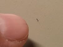 Review Image by Jeff29414 Jeff29414