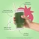 Bloom Superfood Pulver Frauen - Beeren – Mit Probiotika, Enzymen, Spirulina, Chlorella – Unterstützt Darmgesundheit, Detox & Energie – Anti-Blähbauch – 25 Portionen – Smoothie Boost