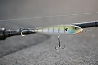 Vista 15 de Berkley J-Walker 100