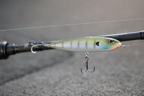 Vista 17 de Berkley J-Walker 100