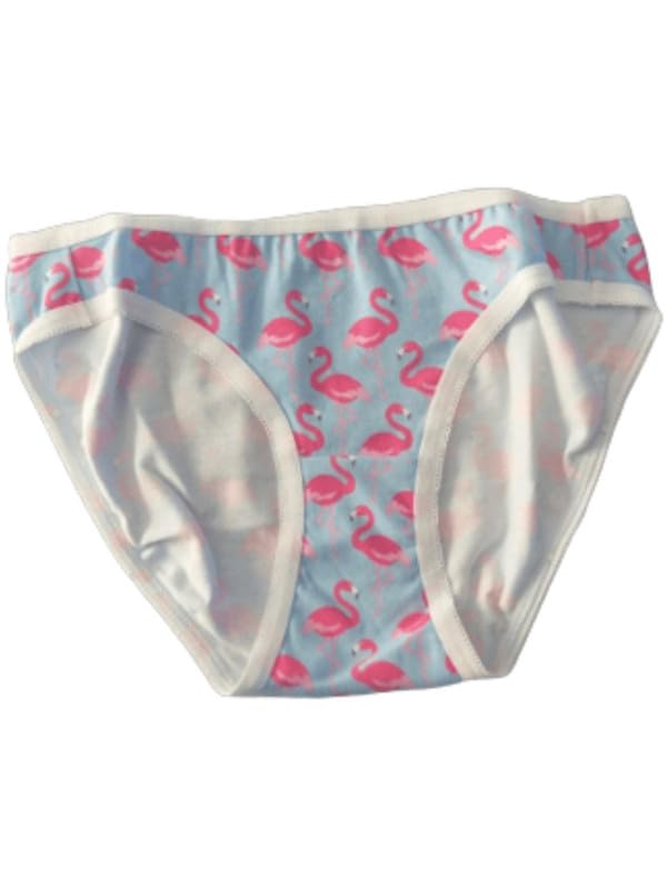Antibacterial Women's Strech Printed Bikini - Pack of 1 (Assorted)-image-43