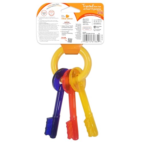 Nylabone Welpe Beißring Schlüssel, klein - Mehrfarbig, Small