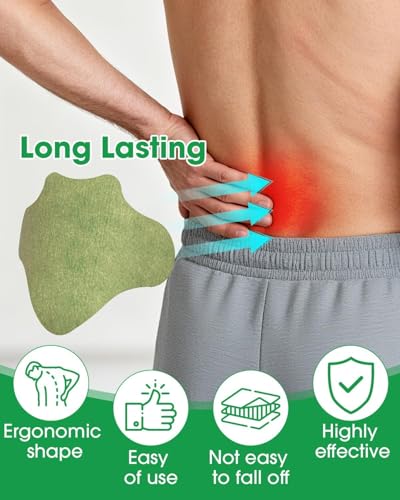 Image of HOOPOES Back Pain Relief Patches | Fast Acting Herbal Patch for Lower & Upper Back Pain, Muscle Strain & Sciatica Support | Hot & Cold Therapy | Long Lasting 8-12 Hours | Easy Peel & Stick (10 Patches)