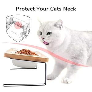   FUKUMARU-Elevated-Cat-Ceramic-Bowls-Small-Dog-15-Tilted-Raised-Food-Feeding-Dishes-Solid-Bamboo-Water-Stand-Feeder-Set-for-Cats-and-Puppy