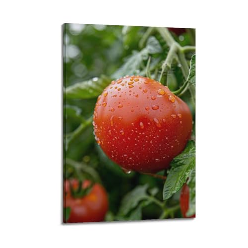 Poster tomates rouges décoration murale moderne à suspendre