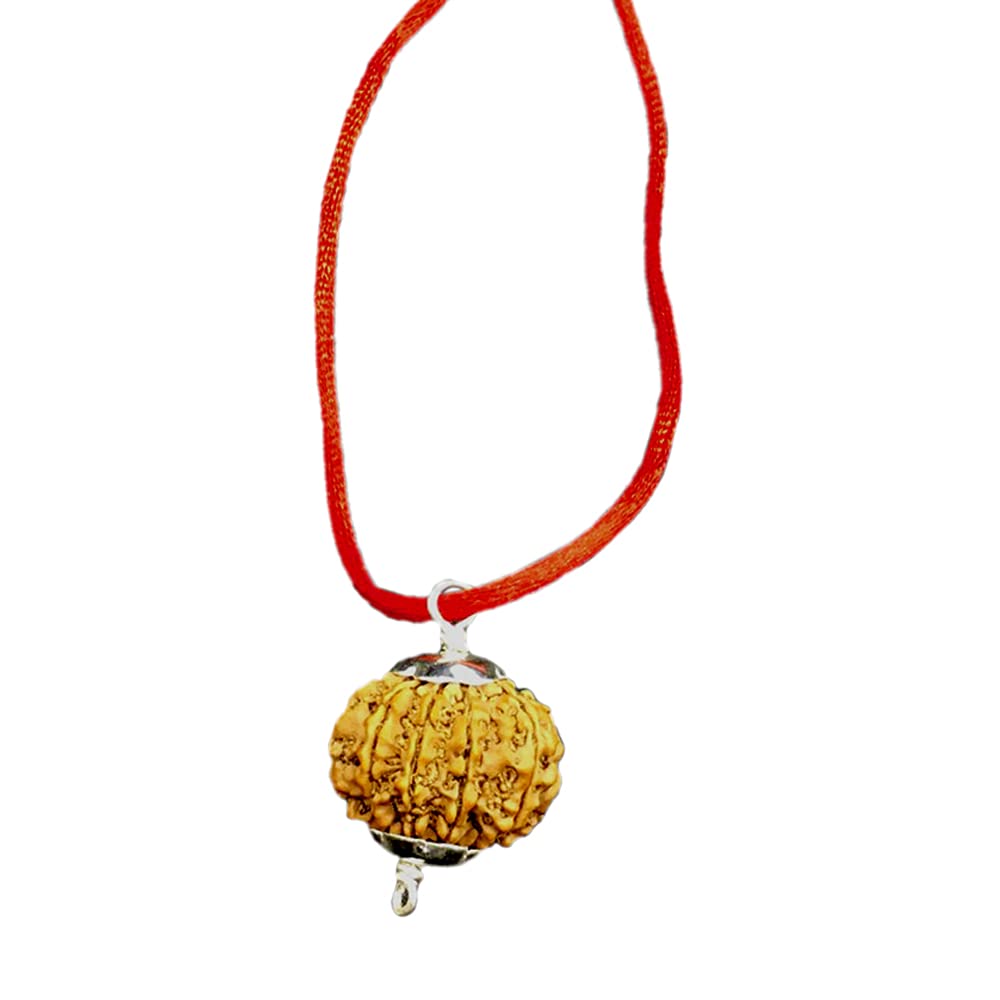 Vishaka ArtsNatural 9 Mukhi Rudraksha From Nepal IGL Lab Certified 20mm-22mm Silver Pendant