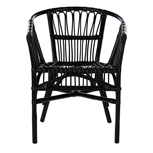 Safavieh Home Adriana Coastal Black Rattan (Set of 2) Accent Chair, 0