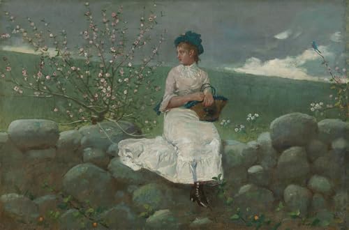 Fleurs de pêcher par Winslow Homer Art Portrait Toile Décoration Salon