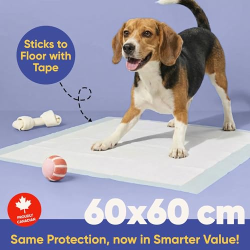Image of Pet Training Pads Air Series - Large (Pack of 60) | Leakproof Heavy-Absorbent Puppy Pee Pads with Non-Slip Adhesive Tape | Odour Control, Quick-Dry Potty Pads for Dogs (60, 60x60cm)