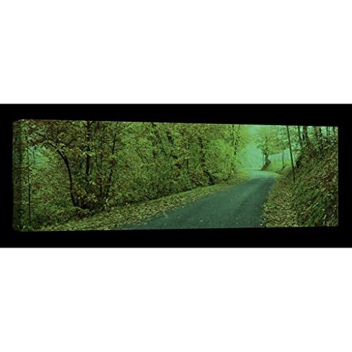 Tableau canvas Nature DCL196-4 phosphorescent de 40 x 120 cm pour salon