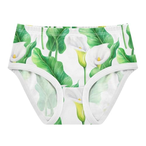 Toddlers Underwear Floral 2t Cotton Cute Panties Girl Animal Briefs Underpants White Calla Lilies Green Leaves