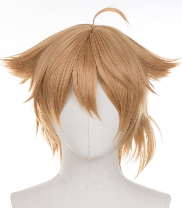 にじさんじ　伏見ガク　初期衣装＋ネックレス＋ウィッグ（おまけ）　コスプレ　M にじさんじ 伏見ガク 初期衣装＋ネックレス＋ウィッグ（おまけ