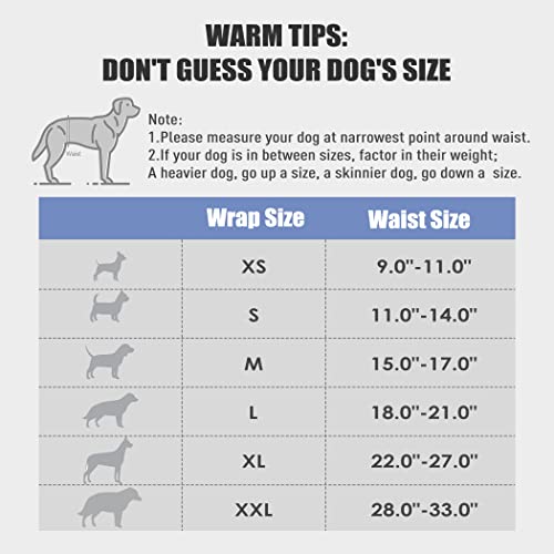 Wegreeco Washable Male Dog Belly Band (Stylish Pattern)- Pack Of 3 - Washable Male Dog Belly Wrap, Dog Diapers Male (Black, Charcoal, Navy, X-Small) #TOP2