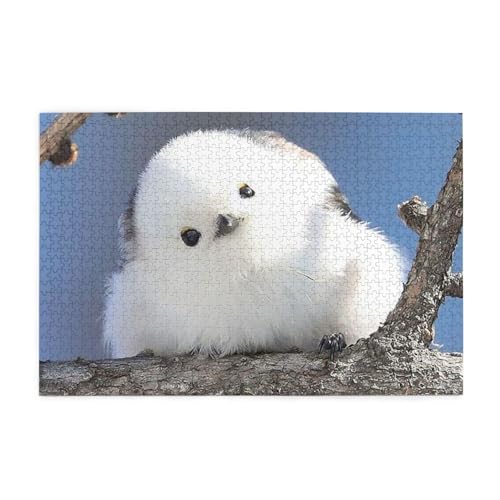 V}GiK  WO\[pY 1000s[X pY }CNs[X q l a NX}X v[g  puzzle mߋ CeA (50×75cm)