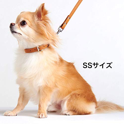 �y�e�B�I (Petio) Porta �|���^ �\�t�g���U�[���[�h SS�T�C�Y �L������