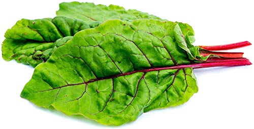 300+ Swiss Chard Rhubarb Seeds Vegetable Seeds for Planting Home Gardens Non-GMO