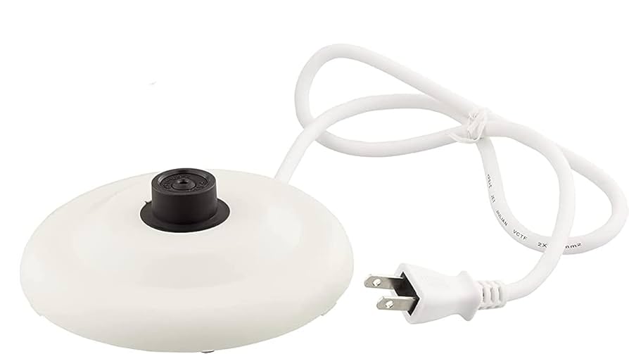 ⭐️トープレ製　クマのスケーター ⭐️トープレ製 クマのスケーター G-FORCE G-FORCE(ジーフォース