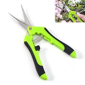 Tijeras de Podar de Mano para Jardinería,Inoxidable Tijera Podar,Tijera Podar Pequeña para Jardinería,Tijeras Jardineria para Plantas,Gardening Hand Pruners,Stainless Steel Gardening Pruning Shears