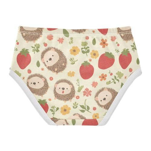 Wusikd Hedgehogs Strawberries Girls' Underwear Cotton Flowers Girls Briefs Soft Toddler Underwear 2T2