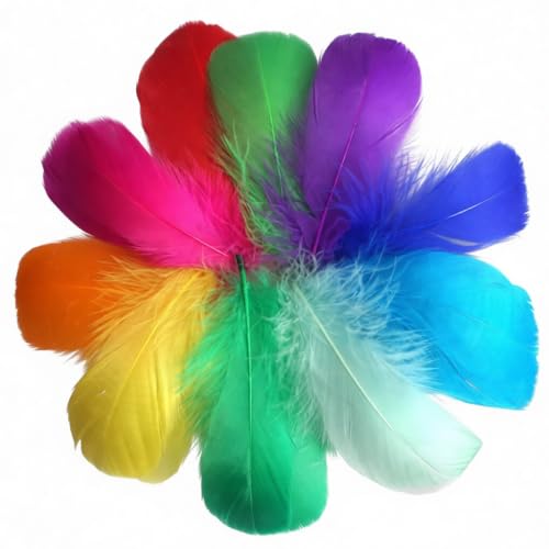 PangWuu 700 Federn Zum Basteln, Bunte Federn Zum Basteln Für DIY-Projekte, Handwerk Und Dekoration, 5-12cm Lange Bastelfedern Für Traumfänger, Schmuck Und Partydekoration