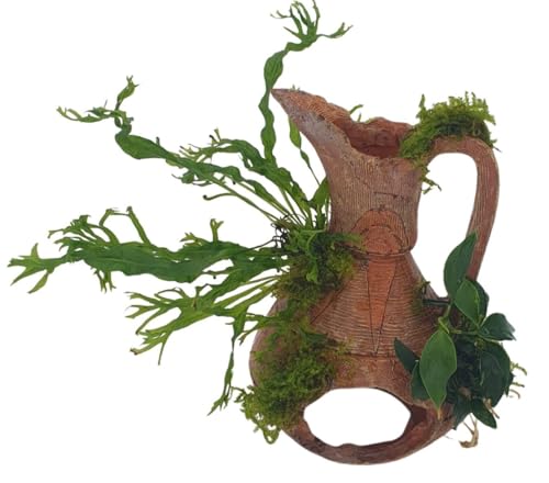 Aquarium Deko Amphore 15×10 cm – Polyresin Krug mit Henkel, bepflanzt mit echten Wasserpflanzen (Anubia, Moos, Farn) – Garnelenbäumchen