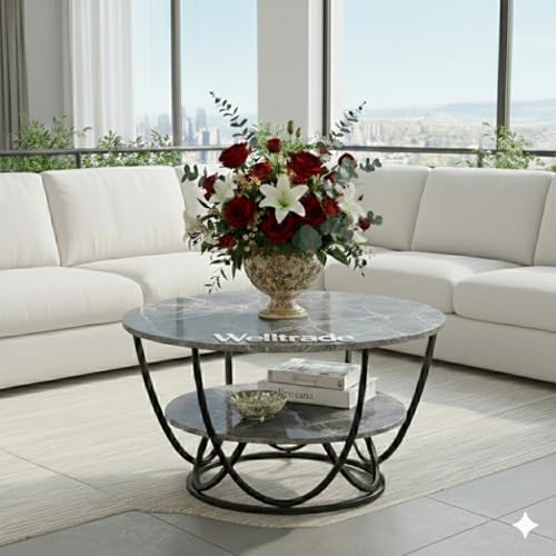 Image of Shoppee Coffee Table - Modern 2-Tier with Faux Marble Top and Gold Metal Frame - Stylish Center Table for Living Room, Sofa Table, Elegant Cocktail Table for Home, Office, Black & Grey