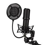 Micrófono de PC, Micrófono de Condensador a Prueba de Golpes para la Canción K en Línea para Grabar Voces para Transmisión en Vivo