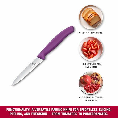 Image of Victorinox Swiss Made Stainless Steel Swiss Classic Paring Knife, 10 cm, Serrated Edge with Pointed Tip, Professional and Household Kitchen Tools, Kitchen Items, Purple, 6.7735.C1 | Multipurpose Knife