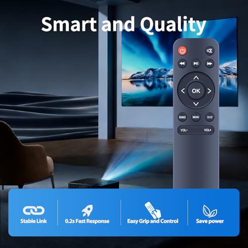 Télécommande HOMPOW C10 ZWP pour vos soirées cinéma à la maison