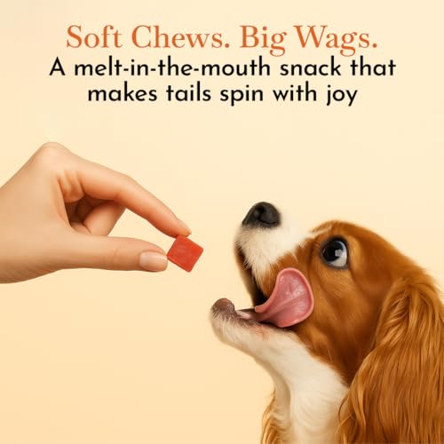 Image of PETS EMPIRE O'Dog Chicken Soft Cubes, Healthy Dog Treats, Chewy Dogs Bites for Training and Feeding, Made with Real Chicken, Non-Vegetarian Pup Snacks for Dogs, Puppies - 100g