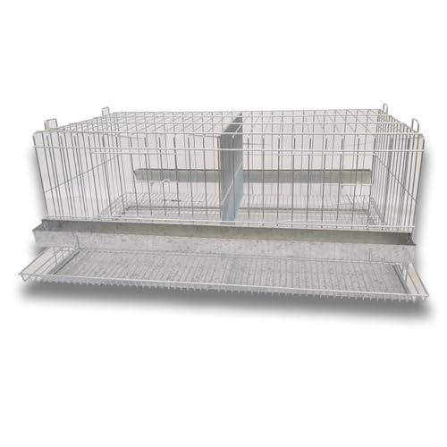 Kit 2 Gaiola Codorna Gigante Postura Viveiro Bandeja 40 Aves Poedeira Bateria (SEM BASE)