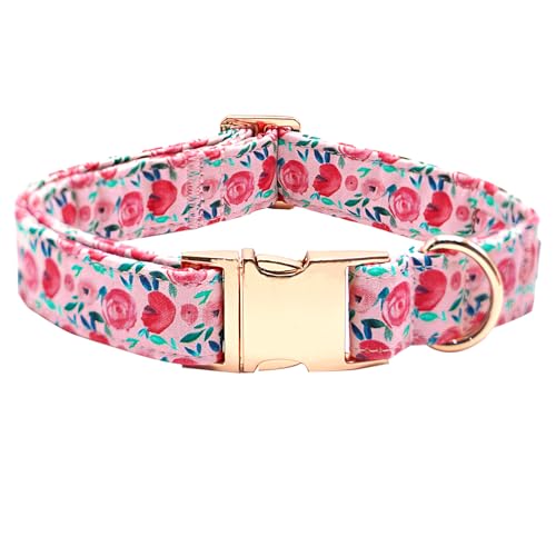 Bobo C{[ hbOJ[A\tgsNt[vg ybgJ[ vȃ^J[ 킢̎q ̎ ߉\ ^p