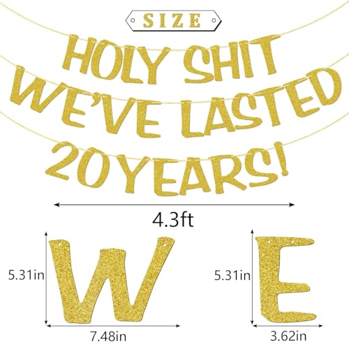 Holy We've Lasted 20 Years Banner, 20th Wedding Anniversary Party Decorations, Funny Decor for Him Her Husband Wife Parents, Pre-Strung, Gold Glitter by Qttier - Image 2