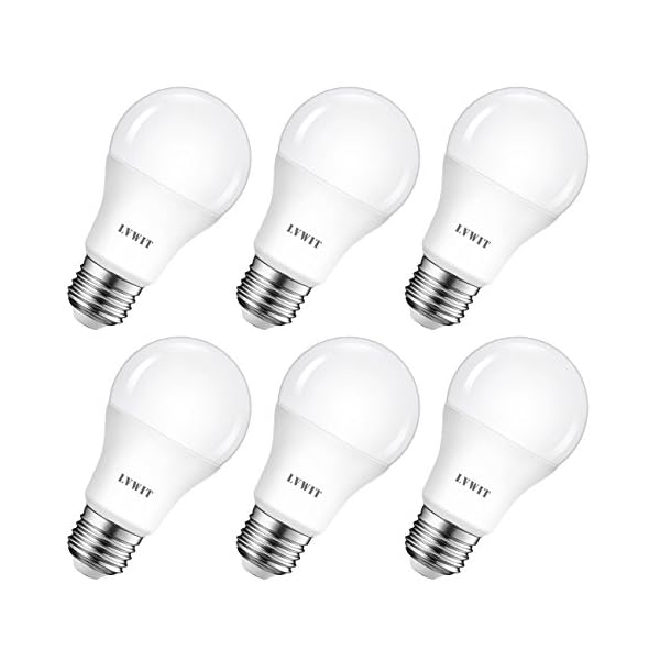 LVWIT LED E27 Birne 60W Kaltweiß 6500K, ultrahell 806 lm, matte LED Lampe (6er Pack)