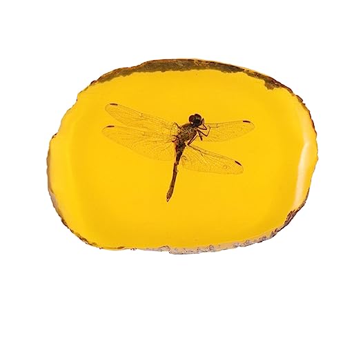 PartyKindom Ámbar Fósil Con Muestras De Piedras Ámbar Artificial De Ámbar Colgante De Muestra Muestras De Cristal Para Decoración Navideña Del Hogar