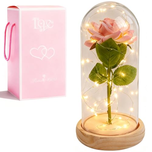 XVZ La bella e la bestia eterna rosa – regalo floreale per donne, rosa sotto campana di vetro con LED e supporto in legno per mamma, moglie o fidanzata per Natale, San Valentino o anniversari, rosa