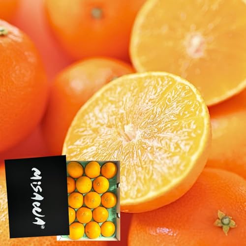 [݂̂₳] ܂ǂ 3kg ϔ p QY ʎ Mtg Ε