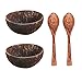 12-15 cm naturalna miska kokosowa ochrona drewniana zastawa stołowa zestaw łyżek Coco kuchnia ekologiczne BOL-2 łyżka 2 miska
