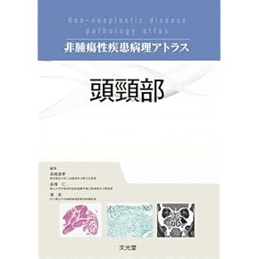 外科病理学入門: パタ-ン分類による診断へのアプロ-チ 910SZf4xTNL.jpg