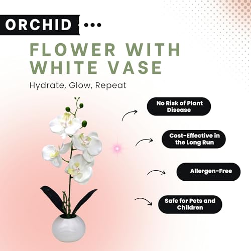 Image of CURATED CART Flower Pot with Artificial Flowers - Orchid White Flower with White Vase | Ideal for Home Decor | Office Decor | Gifting | Size 36 x 9cm