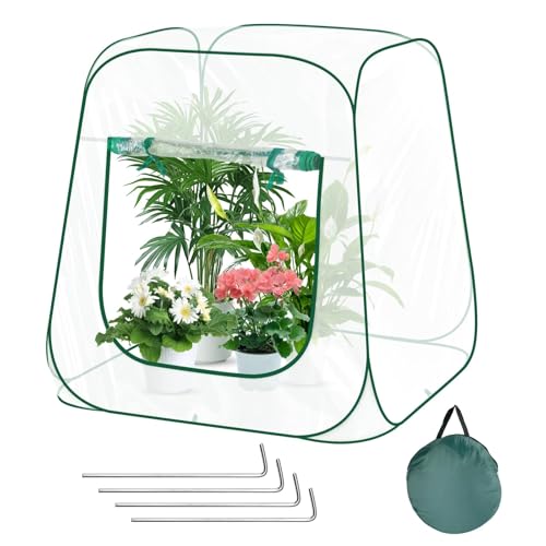Pop-up Mini-Gewächshaus,Gewächshaus Klein PVC, berwinterungszelt für Pflanzen, Pflanzenschutz Winter Zelt, Mini Gewächshaus mit Aufrollbaren zum Schutz von Pflanzen und Blumen -100 x 100 x 97 cm
